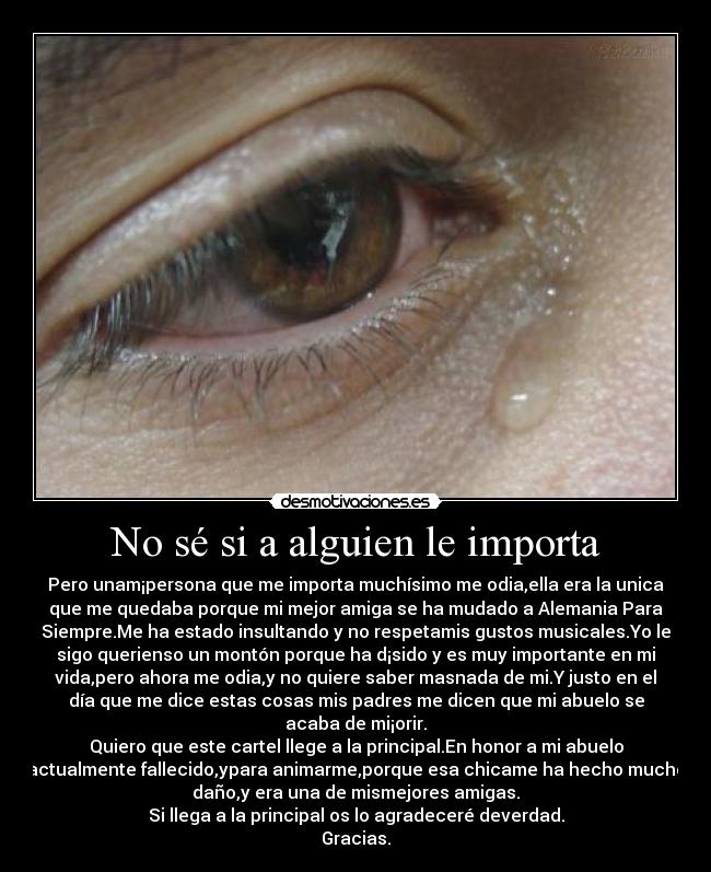 No sé si a alguien le importa - Pero unam¡persona que me importa muchísimo me odia,ella era la unica
que me quedaba porque mi mejor amiga se ha mudado a Alemania Para
Siempre.Me ha estado insultando y no respetamis gustos musicales.Yo le
sigo querienso un montón porque ha d¡sido y es muy importante en mi
vida,pero ahora me odia,y no quiere saber masnada de mi.Y justo en el
día que me dice estas cosas mis padres me dicen que mi abuelo se
acaba de mi¡orir.
Quiero que este cartel llege a la principal.En honor a mi abuelo
actualmente fallecido,ypara animarme,porque esa chicame ha hecho mucho
daño,y era una de mismejores amigas.
Si llega a la principal os lo agradeceré deverdad.
Gracias.