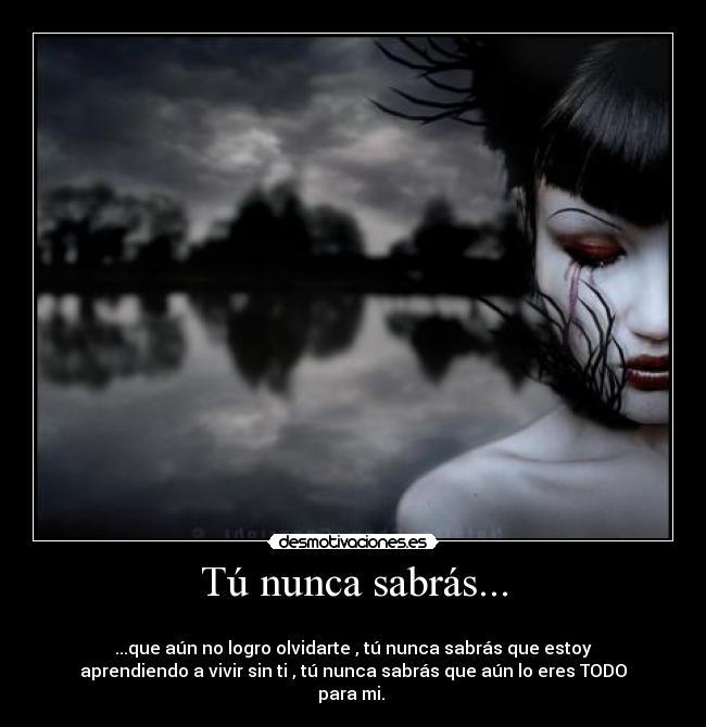 Tú nunca sabrás... - 