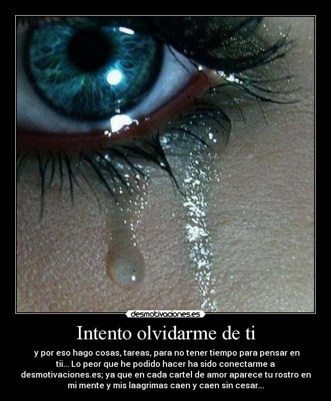 carteles lagrimas desmotivaciones