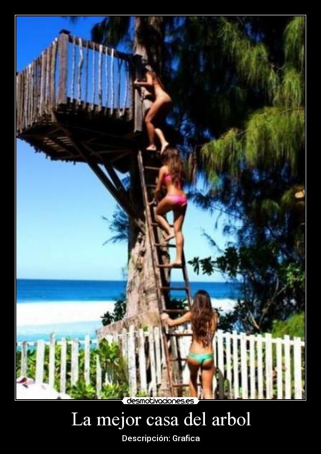 La mejor casa del arbol - 