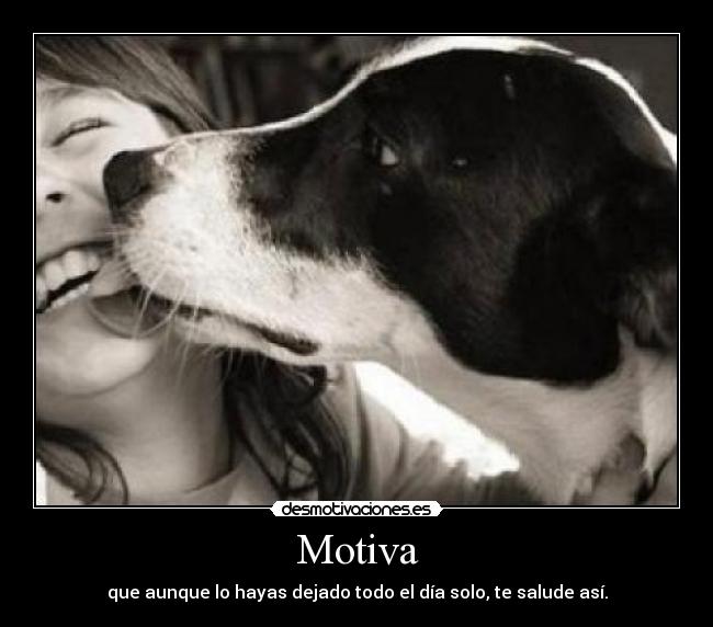 Motiva -