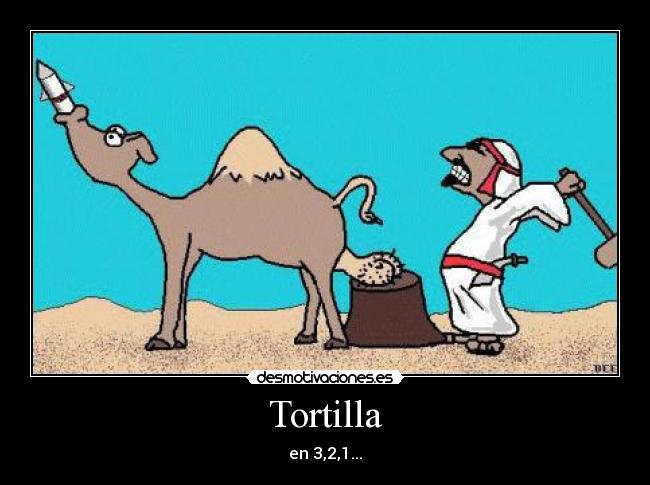 Tortilla -