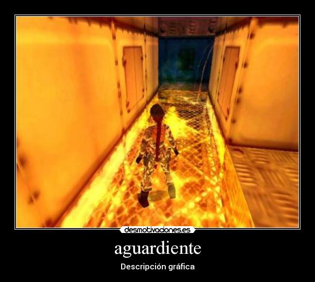 aguardiente - 