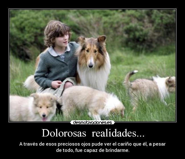 Dolorosas realidades... - A través de esos preciosos ojos pude ver el cariño que él, a pesar
de todo, fue capaz de brindarme.