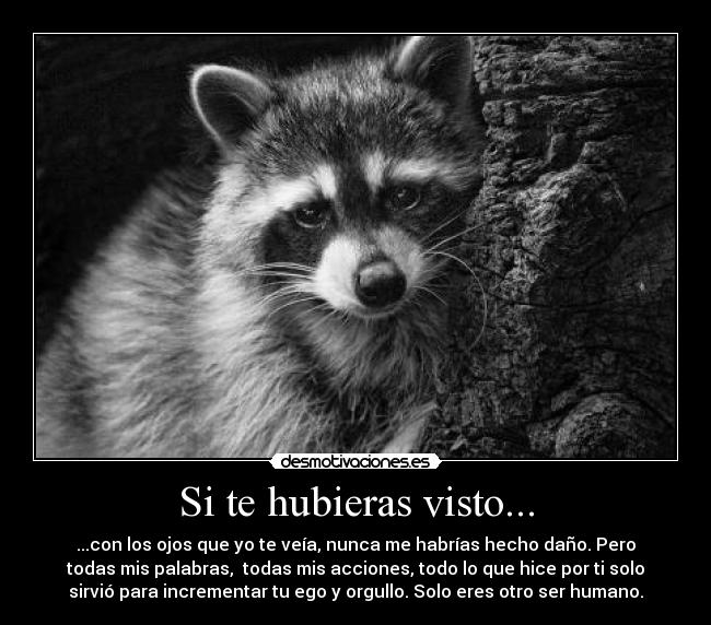 Si te hubieras visto... - ...con los ojos que yo te veía, nunca me habrías hecho daño. Pero
todas mis palabras,  todas mis acciones, todo lo que hice por ti solo
sirvió para incrementar tu ego y orgullo. Solo eres otro ser humano.