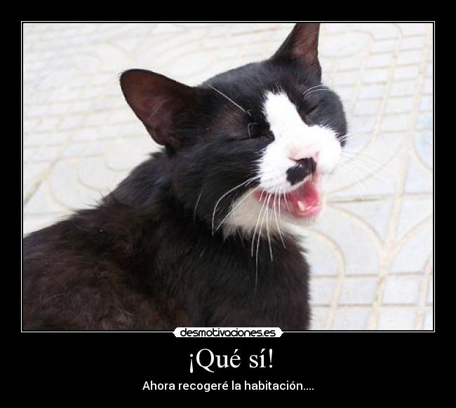 ¡Qué sí! - Ahora recogeré la habitación....