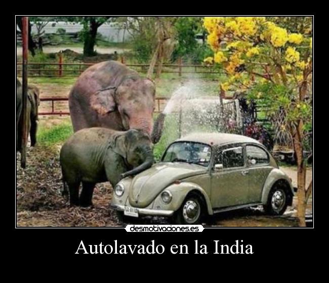 Autolavado en la India -