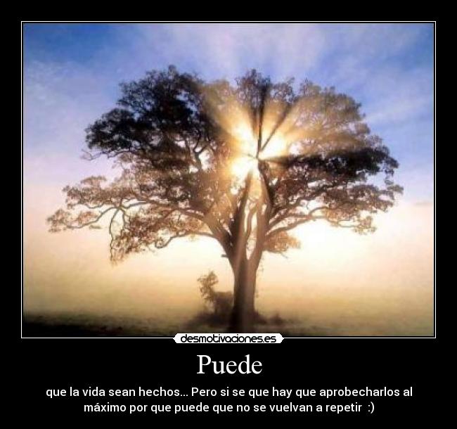 Puede - que la vida sean hechos... Pero si se que hay que aprobecharlos al
máximo por que puede que no se vuelvan a repetir :)