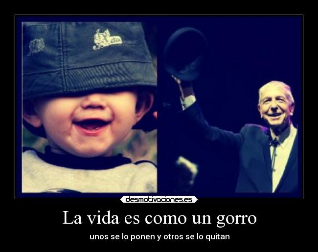 carteles vida vida desmotivaciones