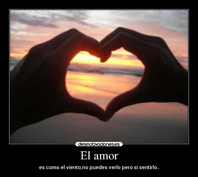 El amor - 