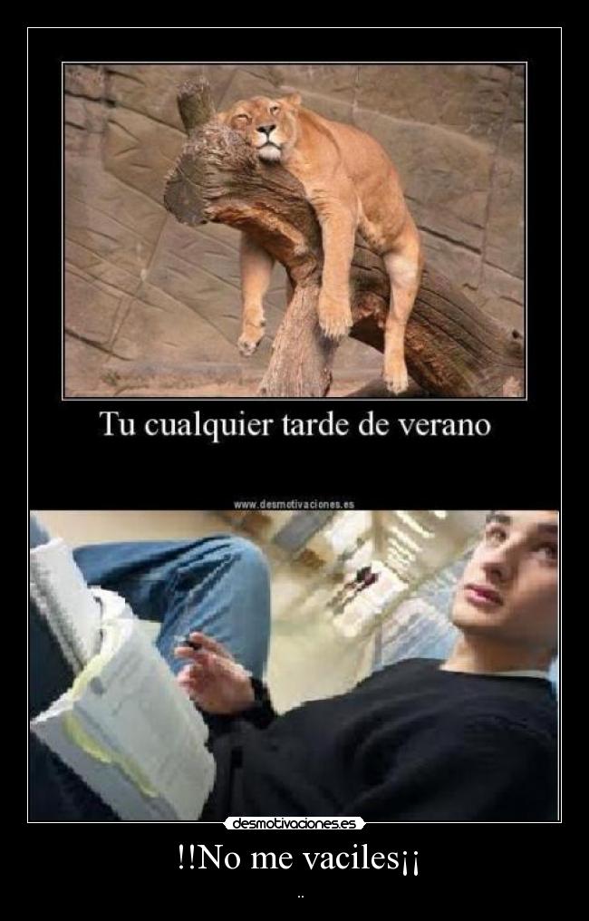 !!No me vaciles¡¡ - 