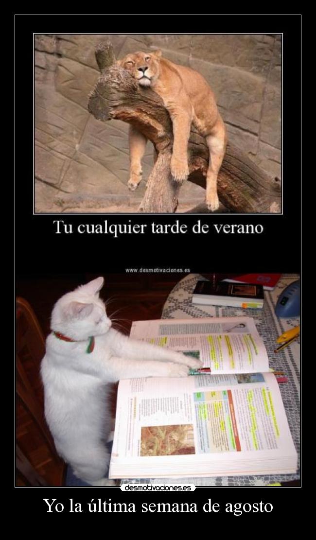 Yo la última semana de agosto -