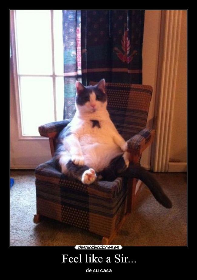 Feel like a Sir... - de su casa