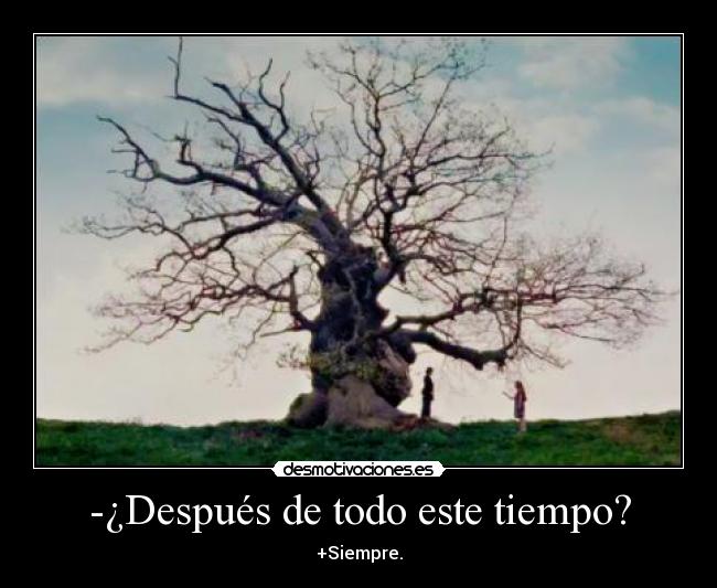 -¿Después de todo este tiempo? - 