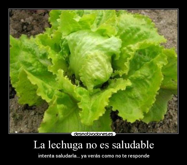 carteles lechuga parida chiste malo desmotivaciones