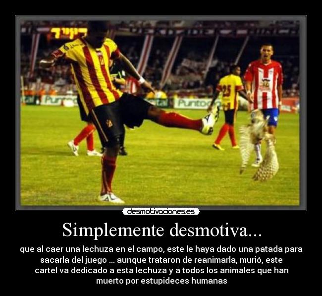 Simplemente desmotiva... -