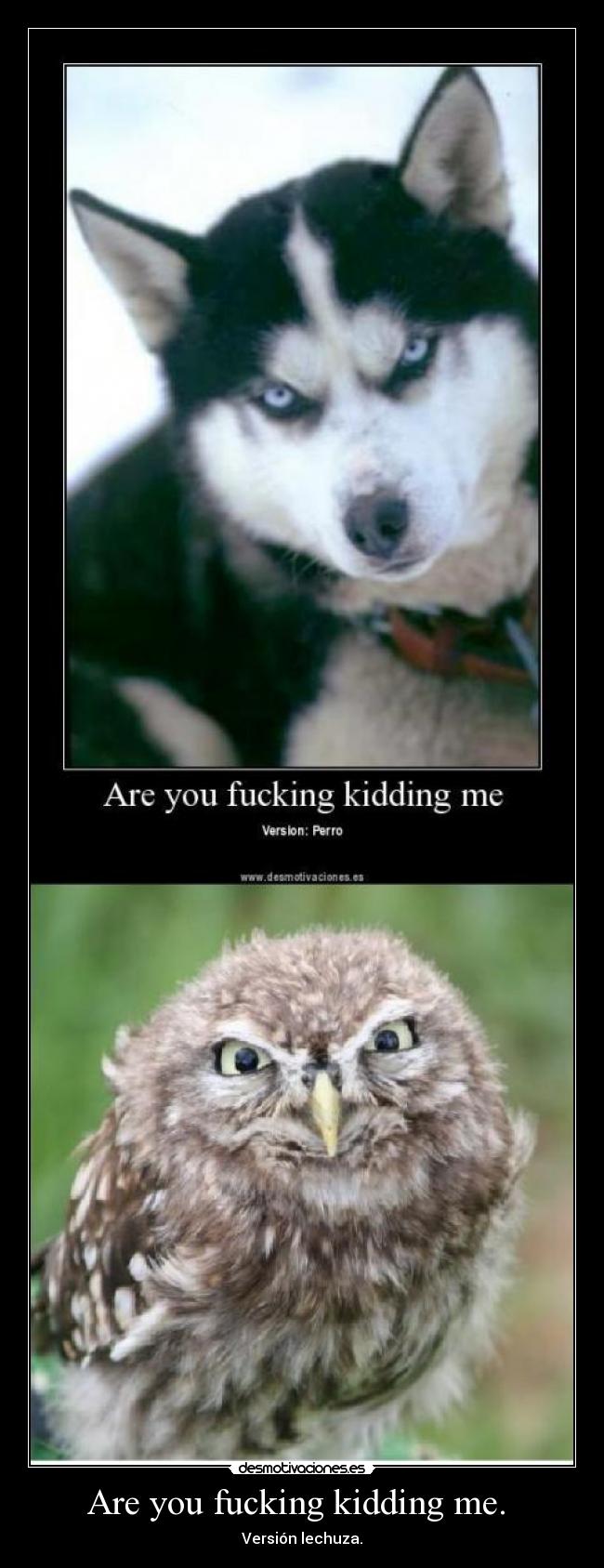 Are you fucking kidding me. -