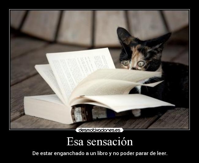 carteles gato libro lectura vicio adiccion desmotivaciones