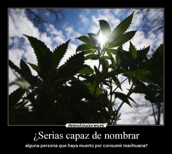 ¿Serias capaz de nombrar - alguna persona que haya muerto por consumir marihuana?