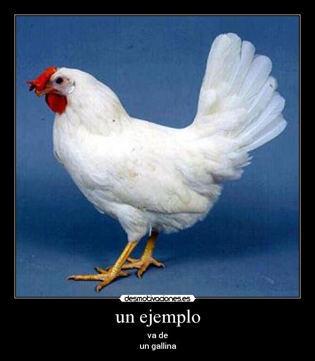 carteles  desmotivaciones