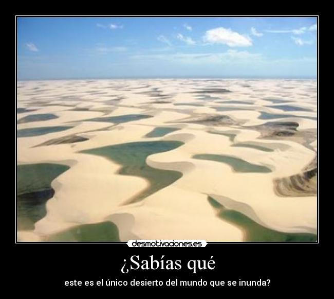 carteles 677i8 desmotivaciones