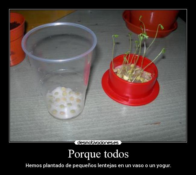 carteles todos desmotivaciones