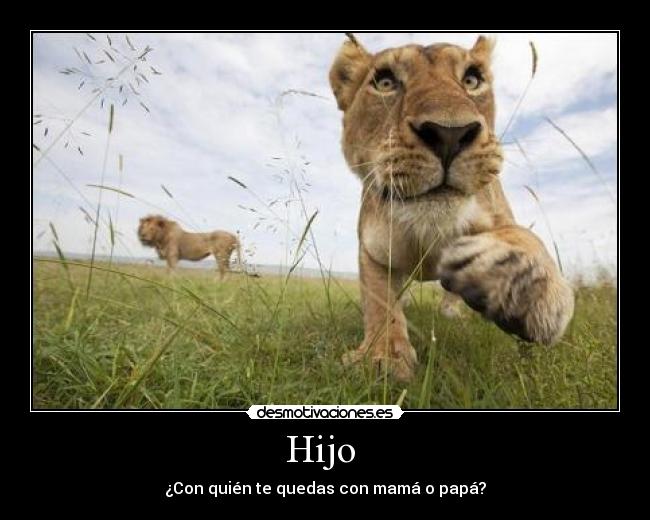 Hijo -