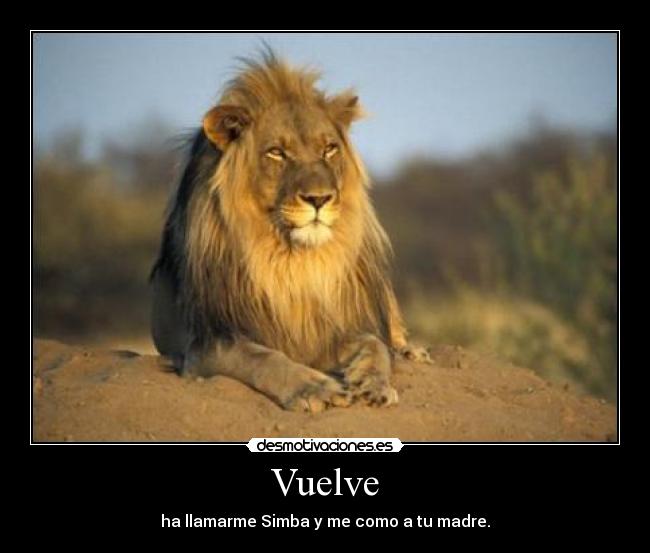 Vuelve - 