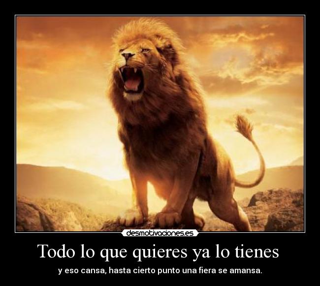 Todo lo que quieres ya lo tienes -