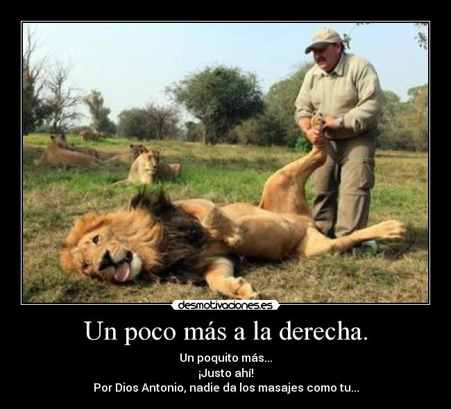 Un poco más a la derecha. - Un poquito más...
¡Justo ahí!
Por Dios Antonio, nadie da los masajes como tu...