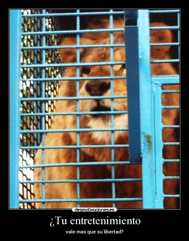 ¿Tu entretenimiento - vale mas que su libertad?