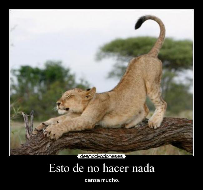 Esto de no hacer nada -