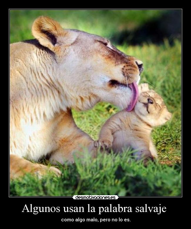 Algunos usan la palabra salvaje -