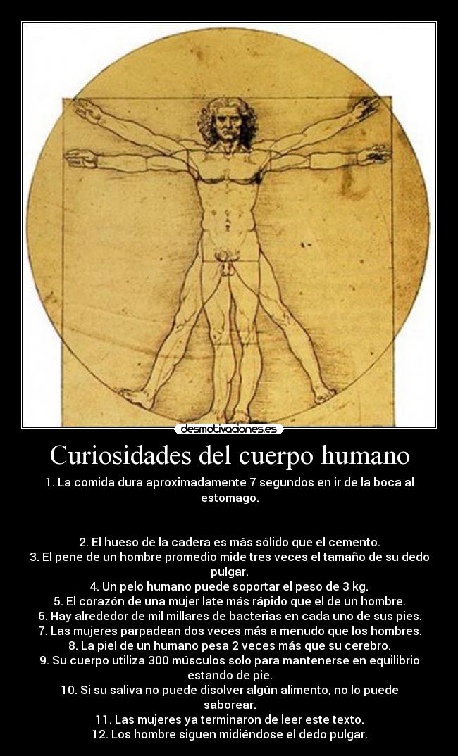 Curiosidades del cuerpo humano - 1. La comida dura aproximadamente 7 segundos en ir de la boca al estomago.
2. El hueso de la cadera es más sólido que el cemento.
3. El pene de un hombre promedio mide tres veces el tamaño de su dedo pulgar.
4. Un pelo humano puede soportar el peso de 3 kg.
5. El corazón de una mujer late más rápido que el de un hombre.
6. Hay alrededor de mil millares de bacterias en cada uno de sus pies.
7. Las mujeres parpadean dos veces más a menudo que los hombres.
8. La piel de un humano pesa 2 veces más que su cerebro.
9. Su cuerpo utiliza 300 músculos solo para mantenerse en equilibrio estando de pie.
10. Si su saliva no puede disolver algún alimento, no lo puede saborear.
11. Las mujeres ya terminaron de leer este texto.
12. Los hombre siguen midiéndose el dedo pulgar.