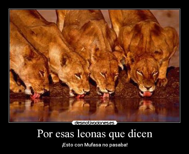 carteles dthaethaw desmotivaciones