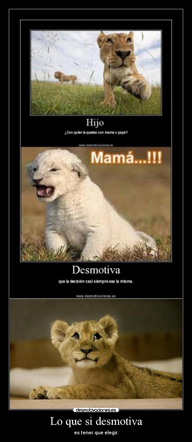 carteles leones decidir elegir mama papa desmotivaciones
