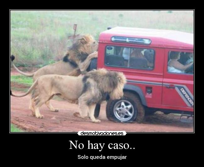 No hay caso.. -