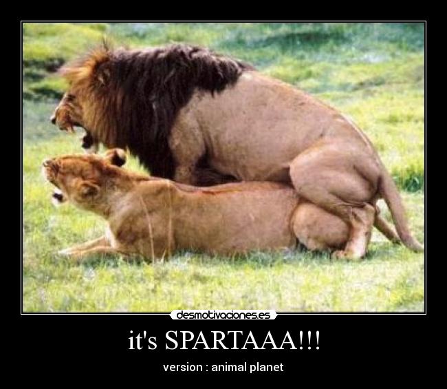 its SPARTAAA!!! - 