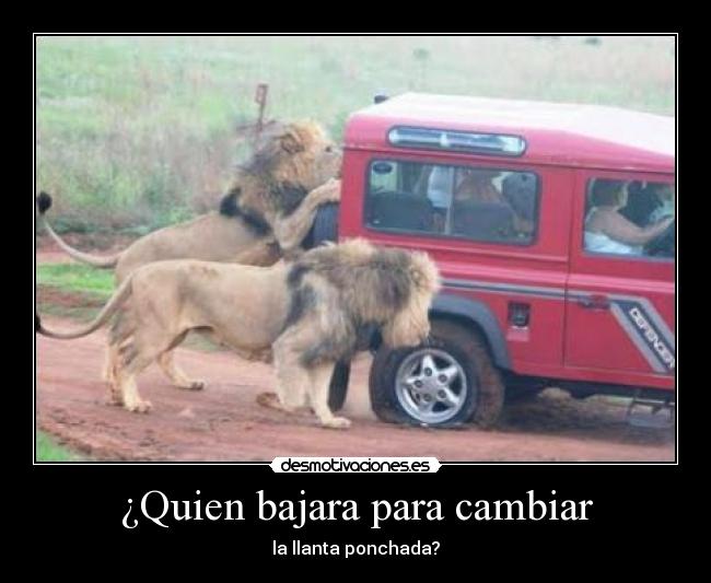 ¿Quien bajara para cambiar -