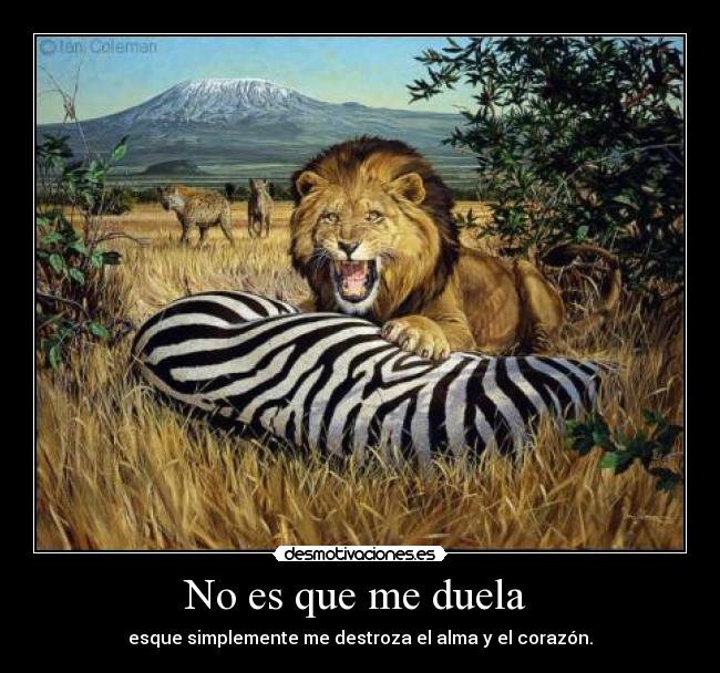 No es que me duela -