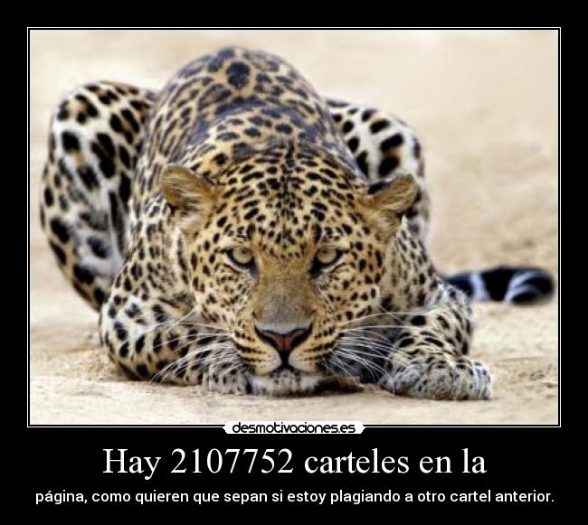 Hay 2107752 carteles en la -