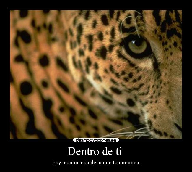 Dentro de ti  - hay mucho más de lo que tú conoces.