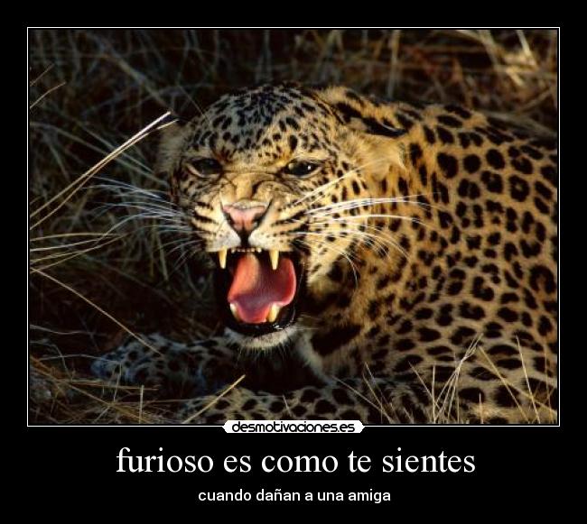 carteles vida dura desmotivaciones