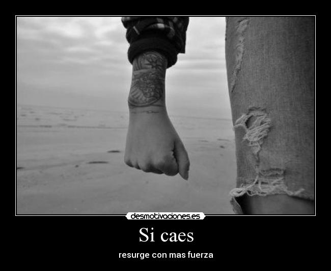 carteles caer resurgir desmotivaciones