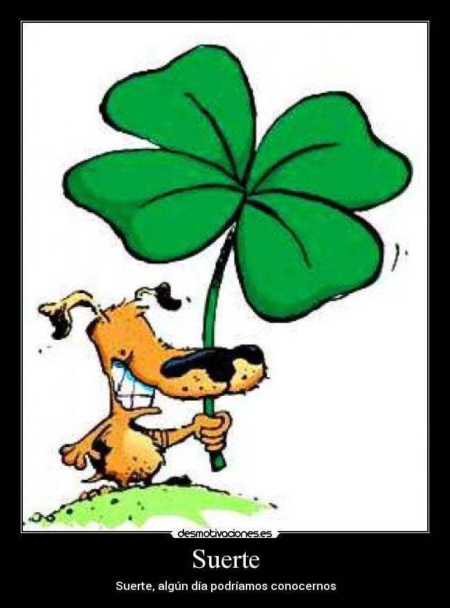 Suerte -