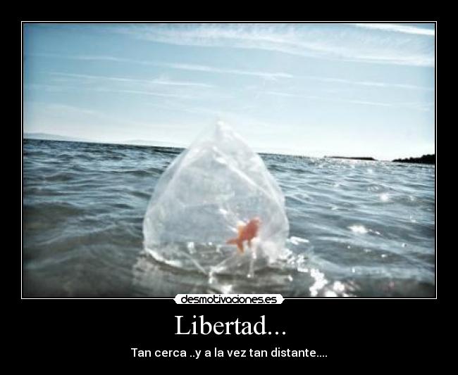 Libertad... - Tan cerca ..y a la vez tan distante....