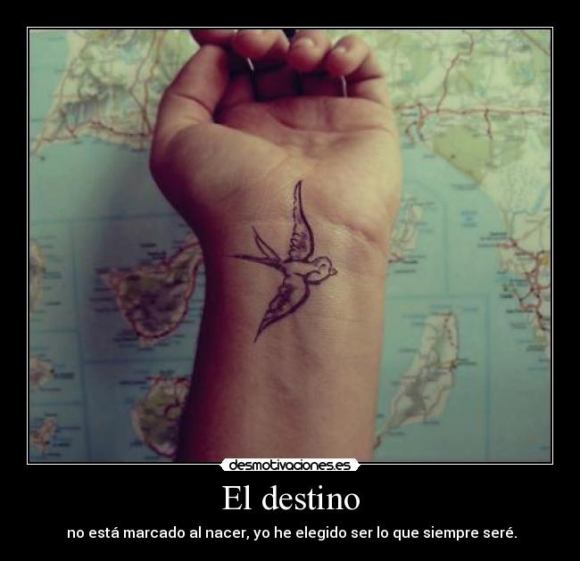 carteles destino mariuki desmotivaciones