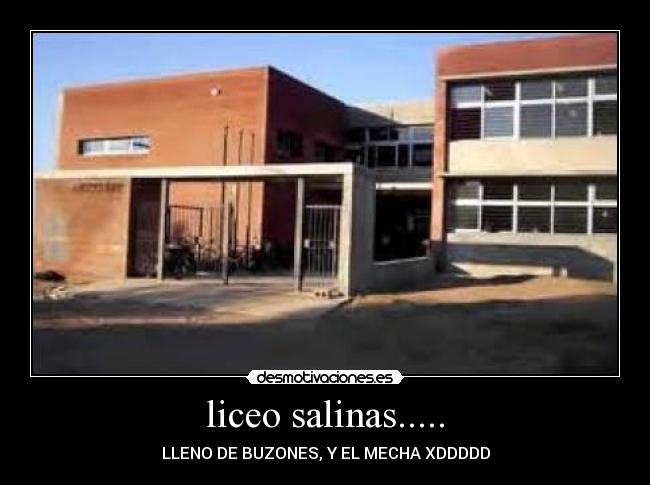 liceo salinas..... -