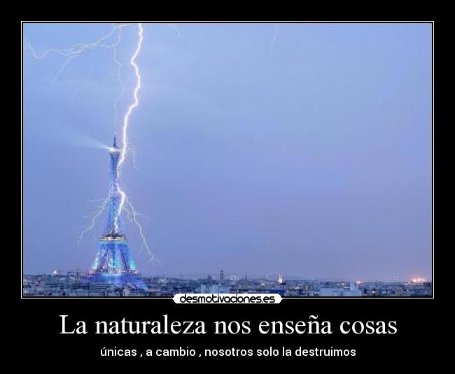 La naturaleza nos enseña cosas -