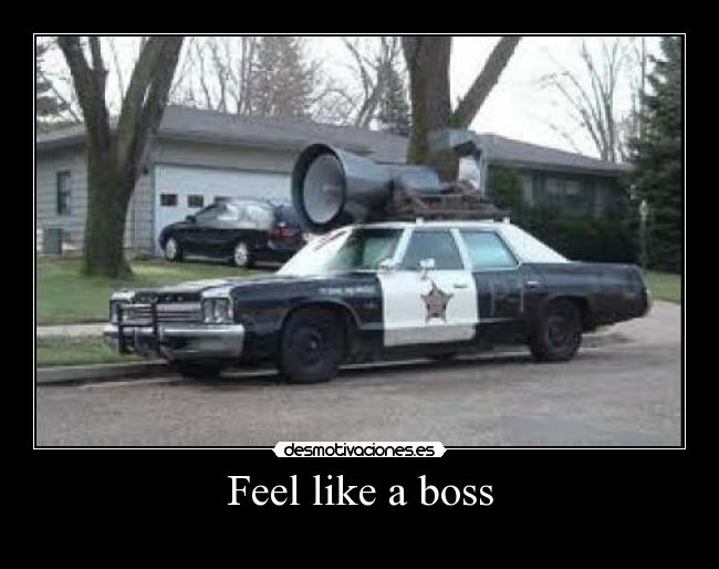 Feel like a boss - 